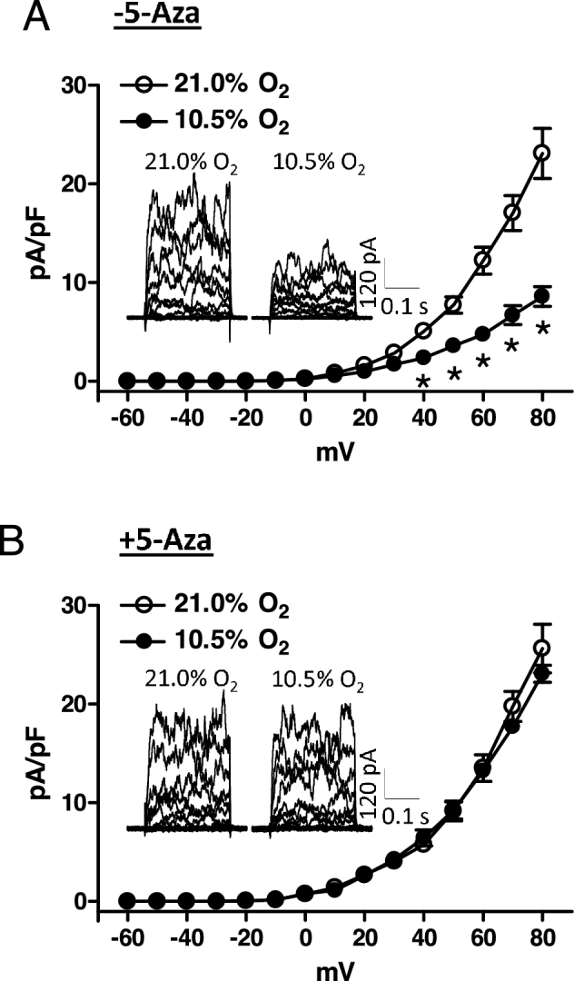 Figure 5.