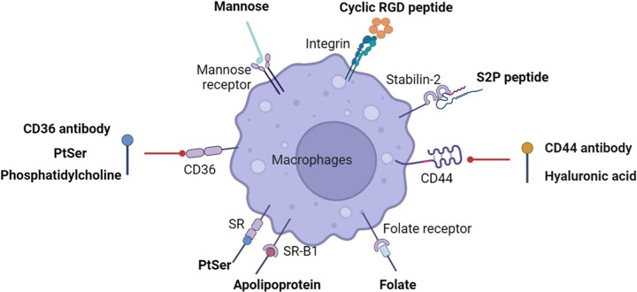 Figure 4.