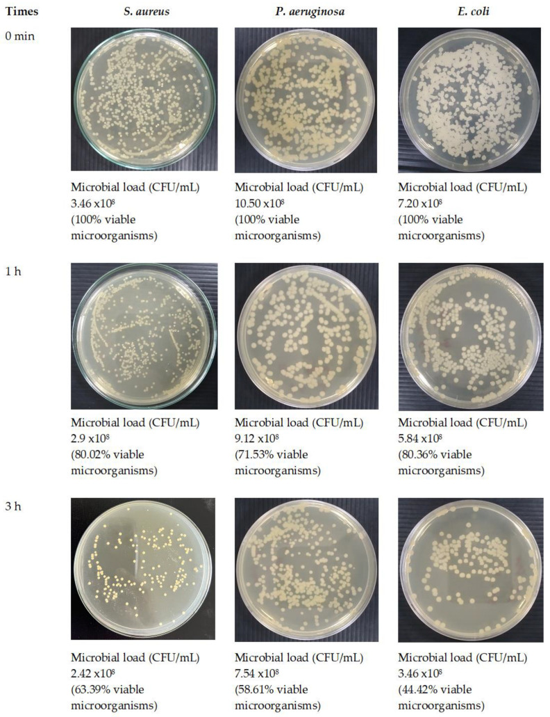 Figure 16