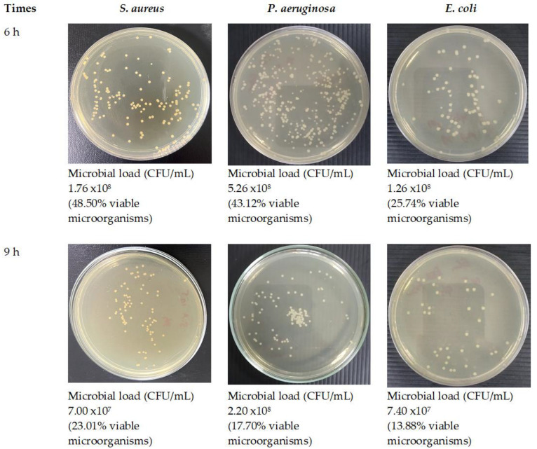 Figure 16