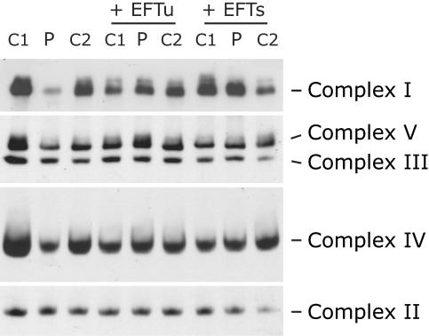 Figure  5. 