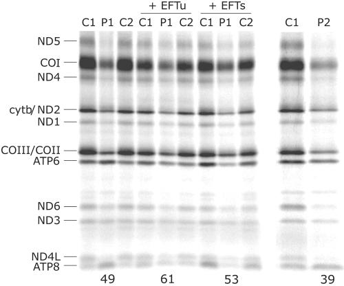 Figure  1. 