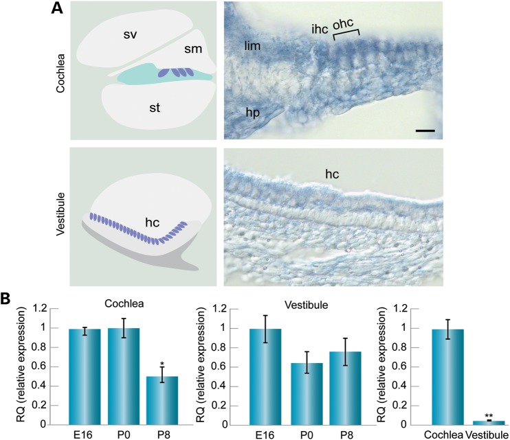 Figure 2.