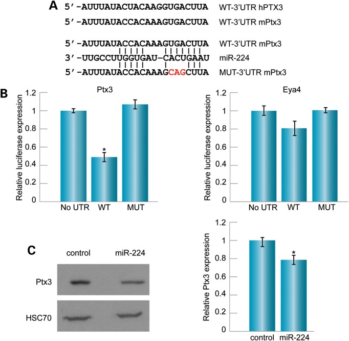 Figure 1.