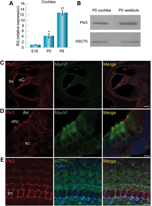 Figure 3.