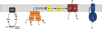 FIG 3