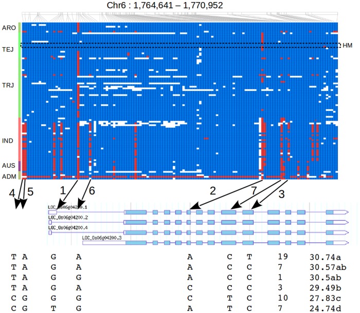 Fig 4