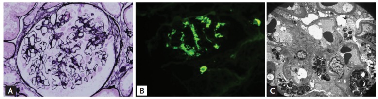 Figure 1.