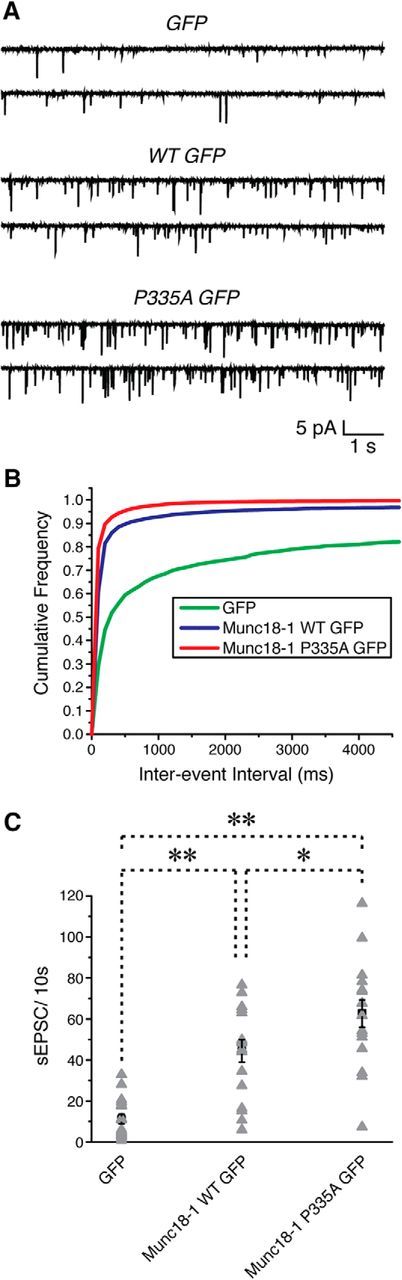 Figure 11.