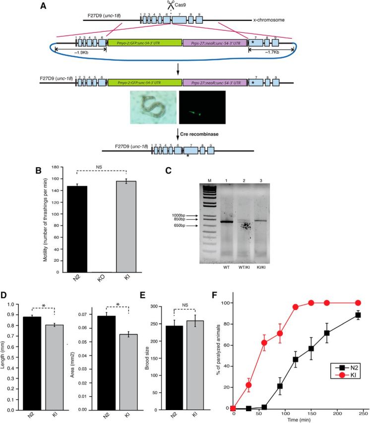 Figure 5.