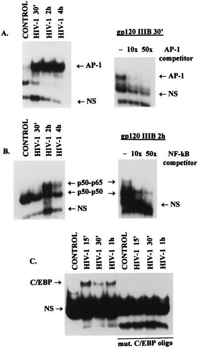 FIG. 1