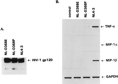 FIG. 8