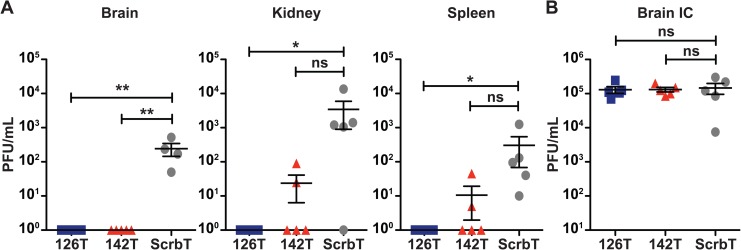 Fig 5