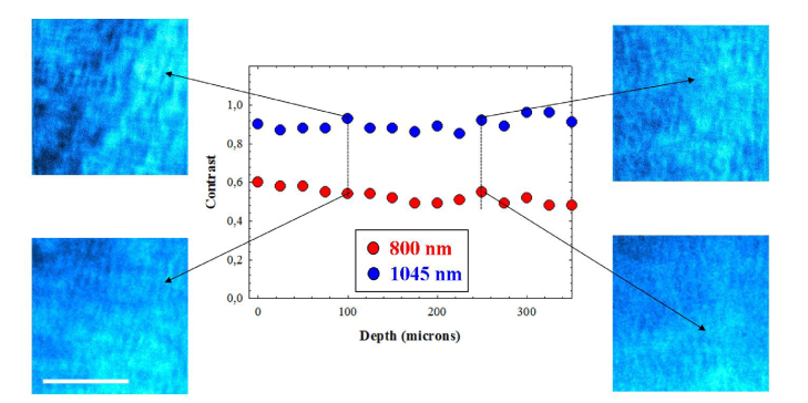 Fig. 8