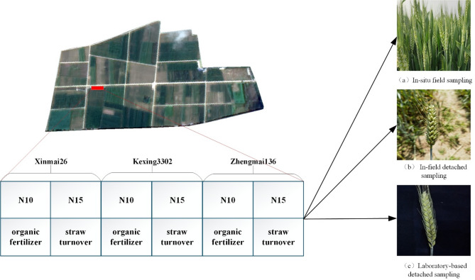 Fig. 2