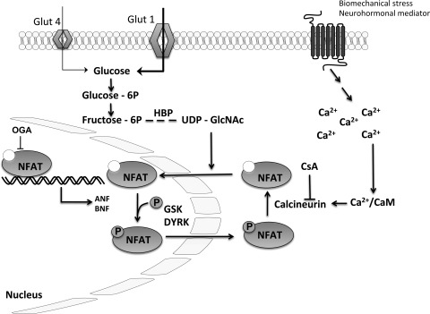 Fig. 6.