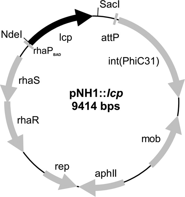 FIG 1