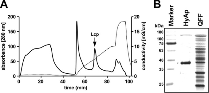 FIG 3