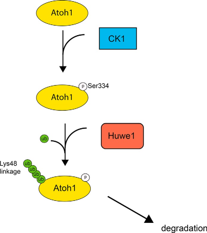 FIGURE 9.