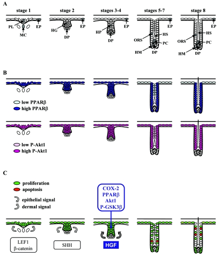 FIG. 10.