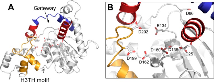 FIGURE 1.