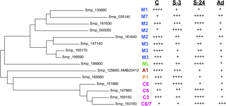 Fig. 1