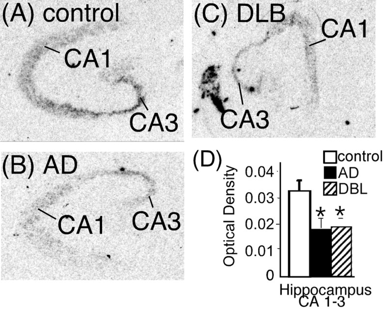 
Figure 11.
