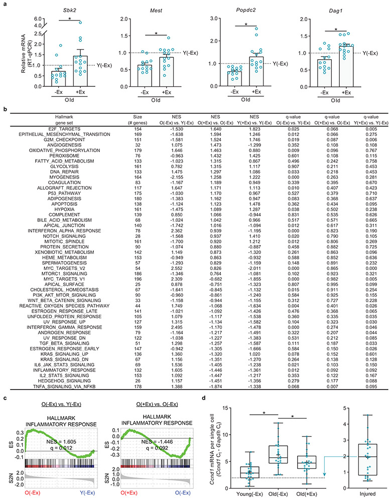 Extended Data Fig. 5.