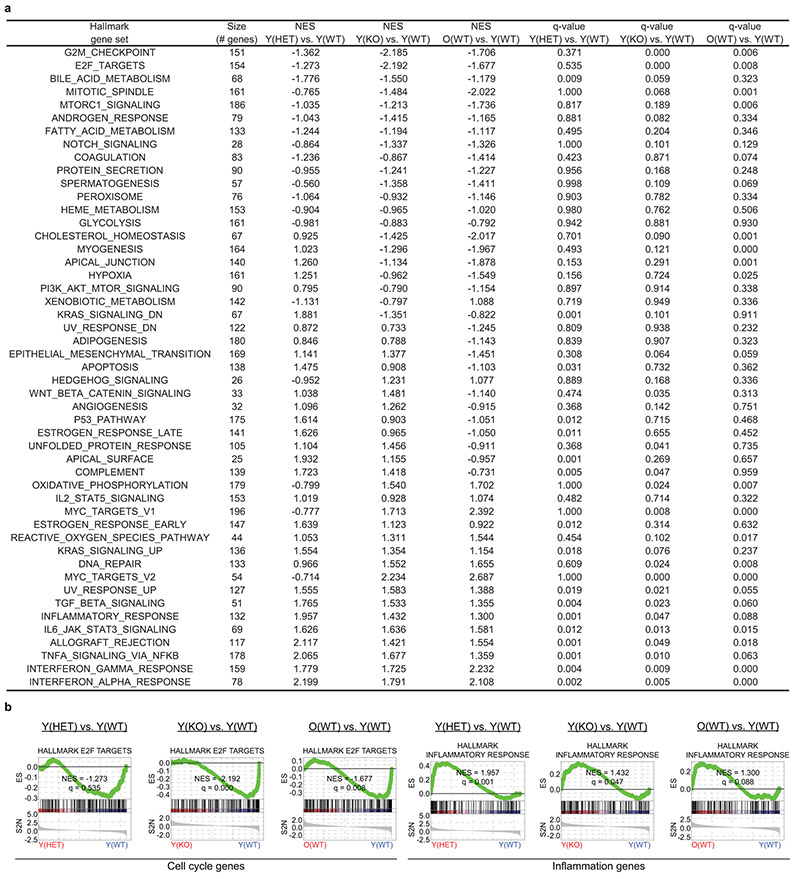 Extended Data Fig. 7.