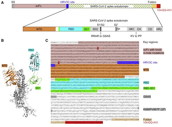 Figure 2