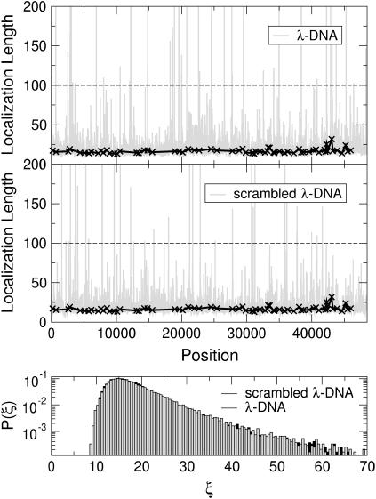 FIGURE 15