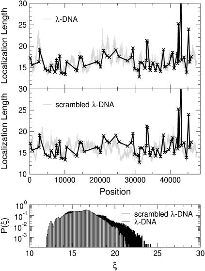 FIGURE 16