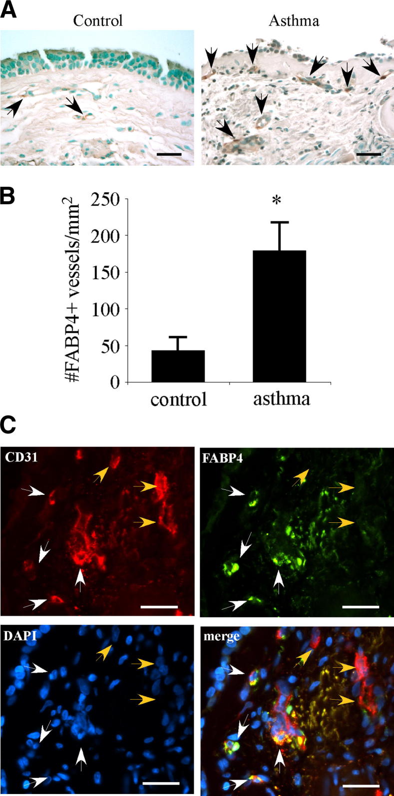 Figure 7