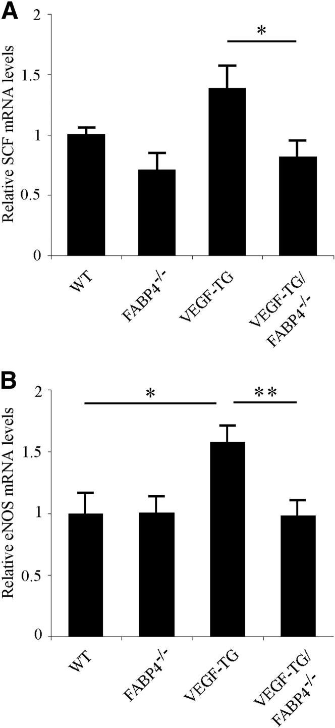 Figure 5