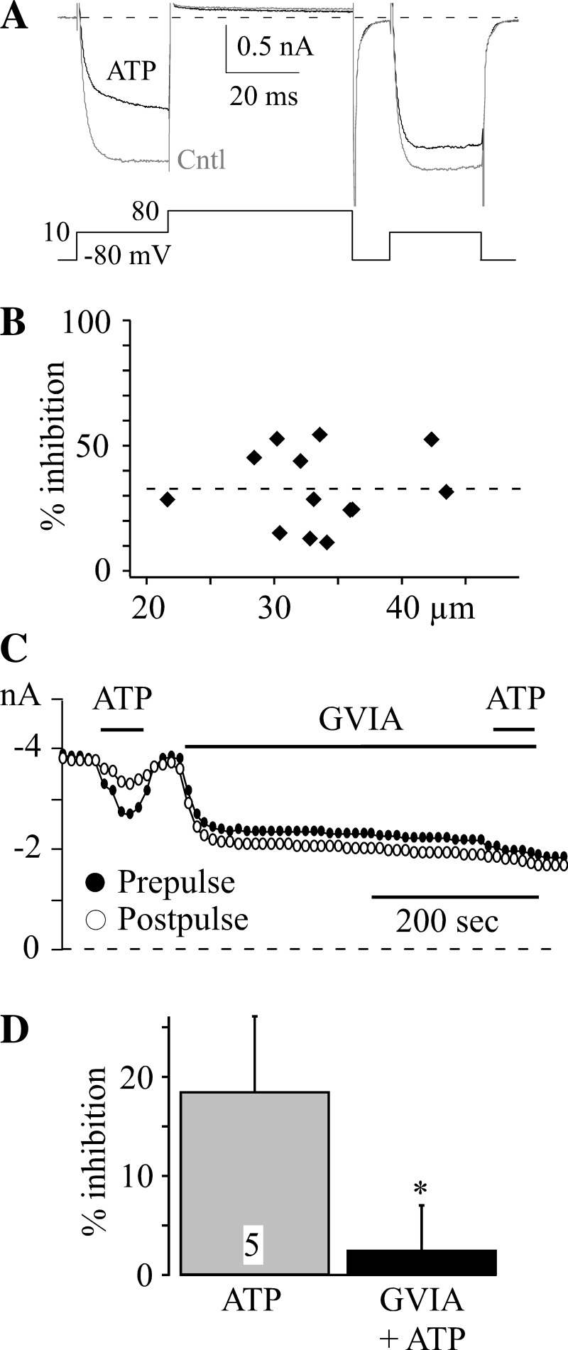 Fig. 7.