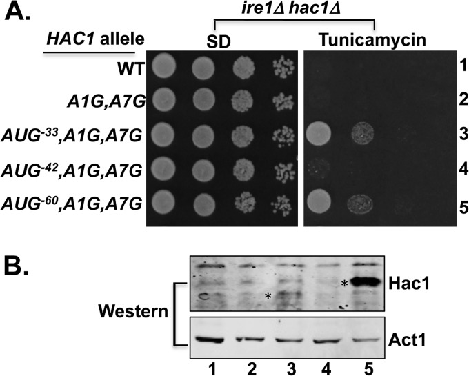 FIGURE 4.