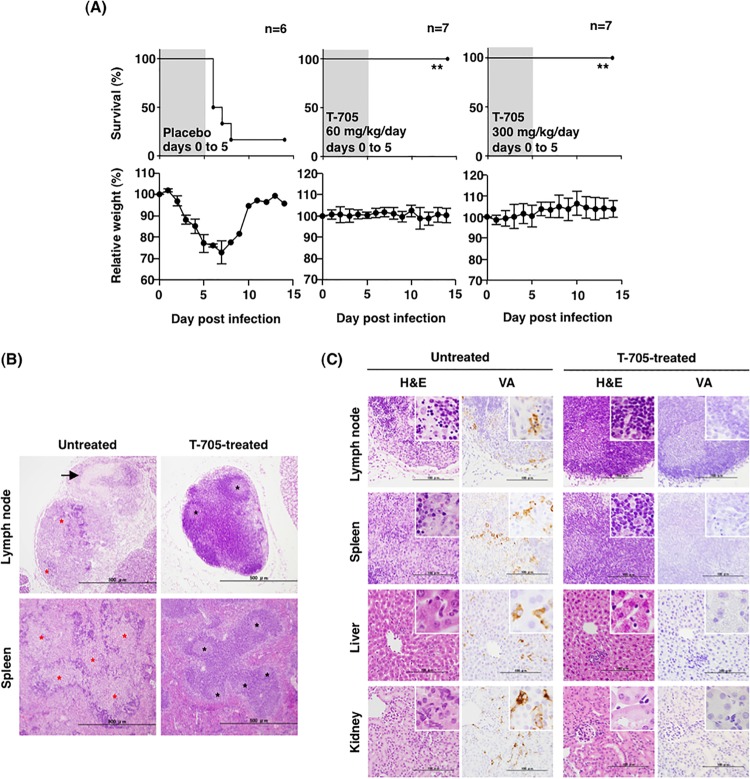 FIG 4 