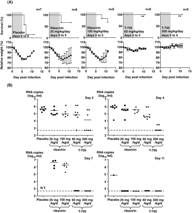 FIG 3 