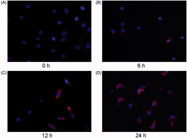 Figure 2.