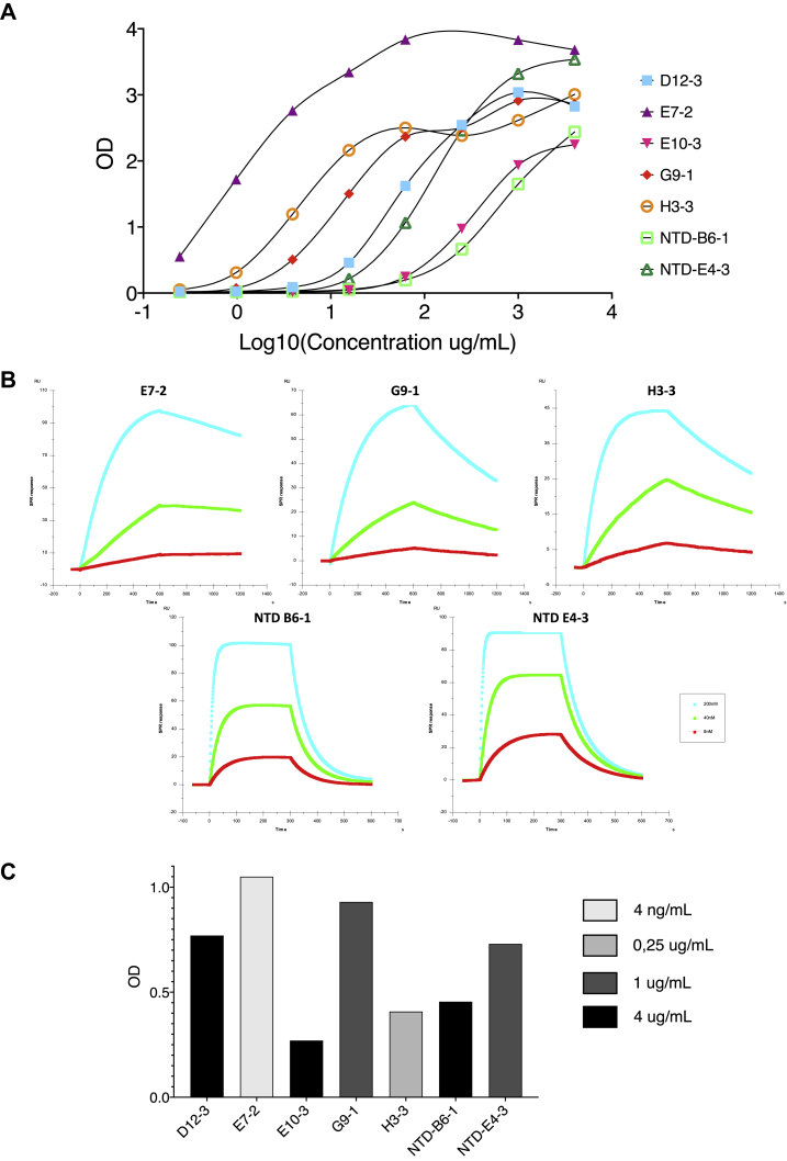 Figure 2