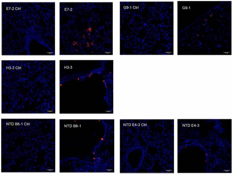 Figure 6