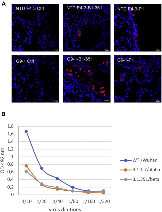 Figure 7