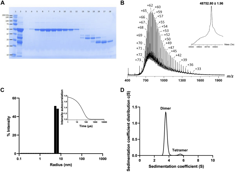 Figure 1