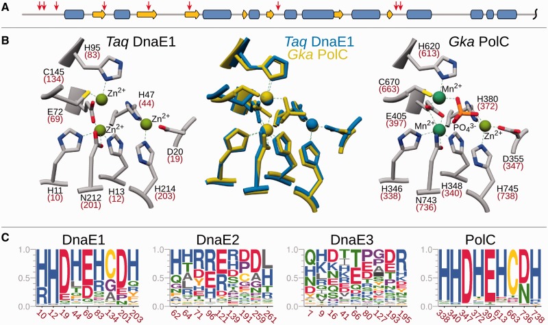 Figure 9.