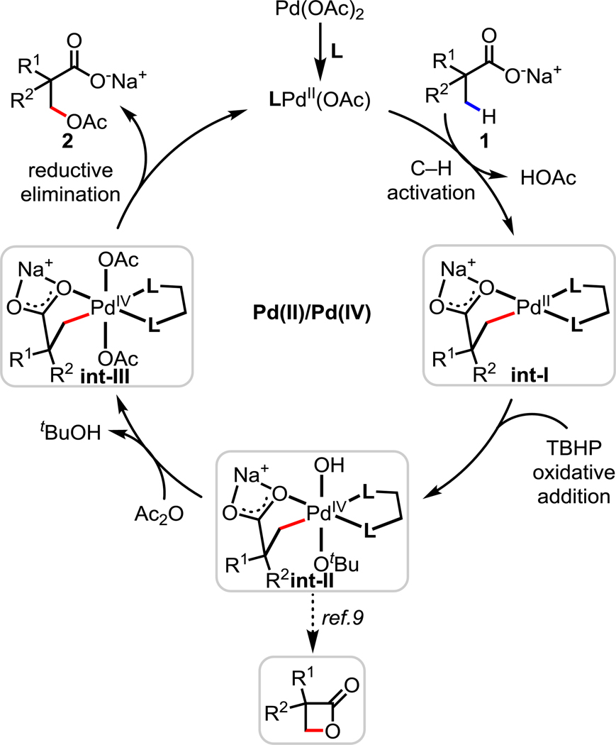 Scheme 3.