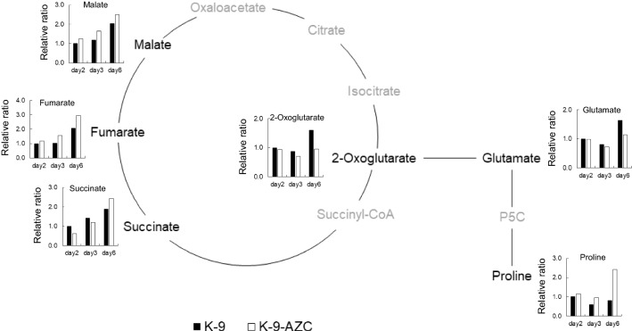 Fig. 3