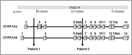 Figure 2