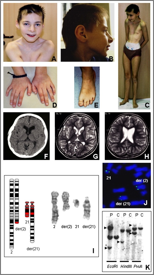 Figure 3