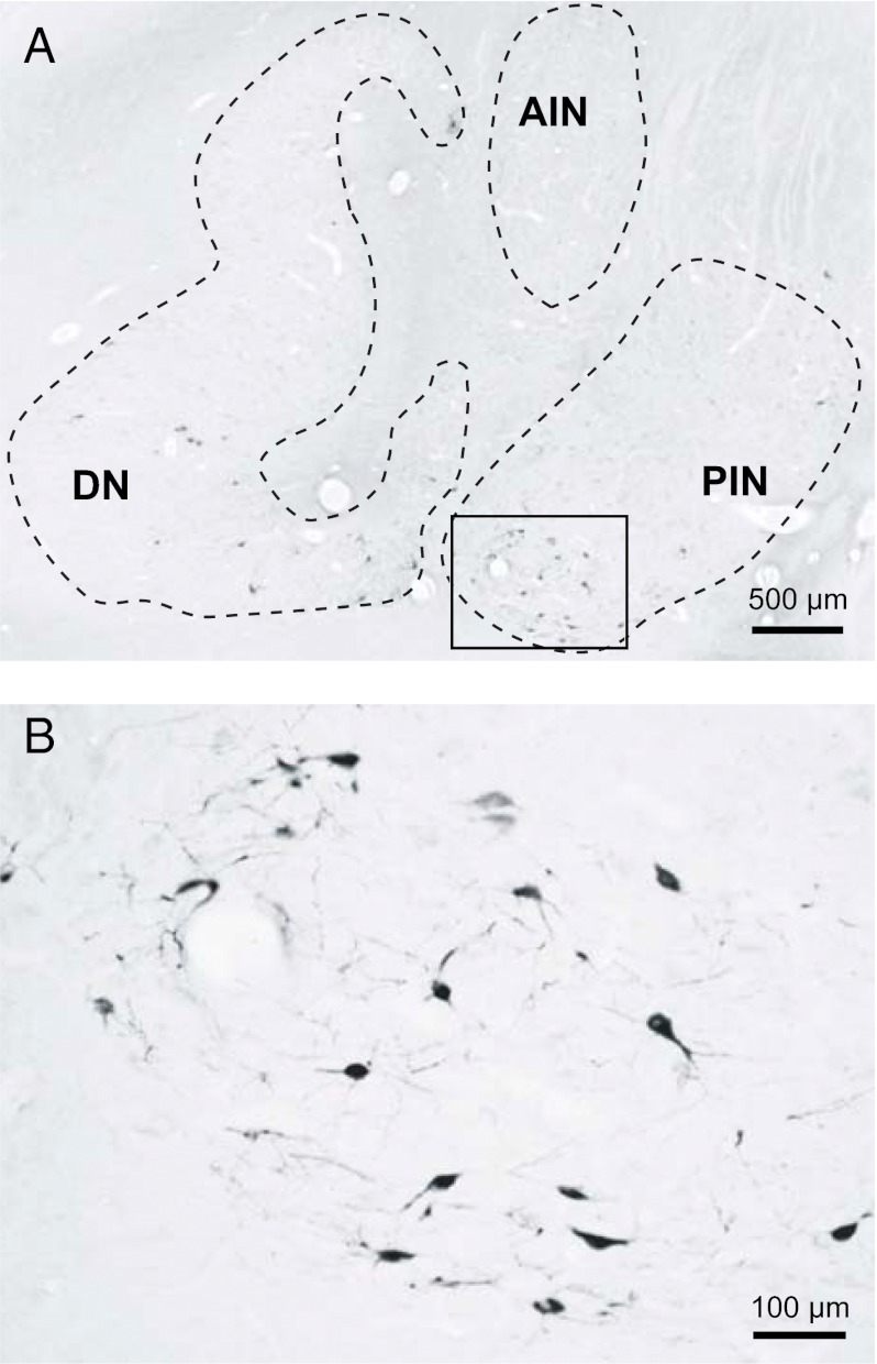 Fig. 2.