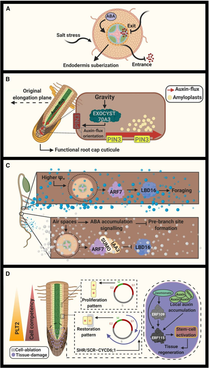 Figure 3